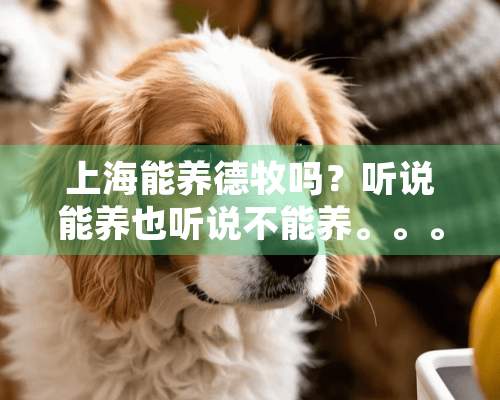 上海能养德牧吗？听说能养也听说不能养。。。。求解