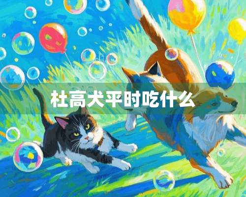 杜高犬平时吃什么