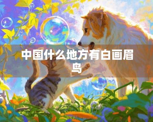 中国什么地方有白画眉鸟