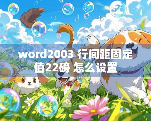 word2003 行间距固定值22磅 怎么设置