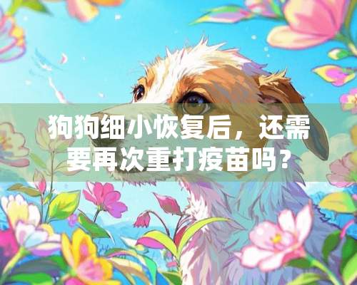 狗狗细小恢复后，还需要再次重打疫苗吗？