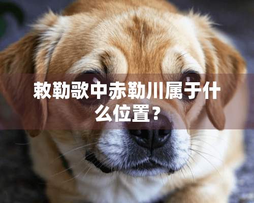 敕勒歌中赤勒川属于什么位置？