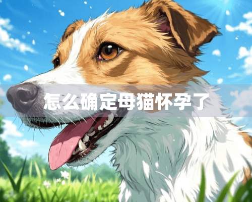 怎么确定母猫怀孕了