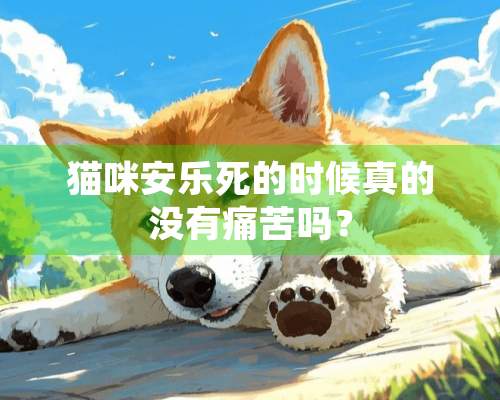 猫咪安乐死的时候真的没有痛苦吗？