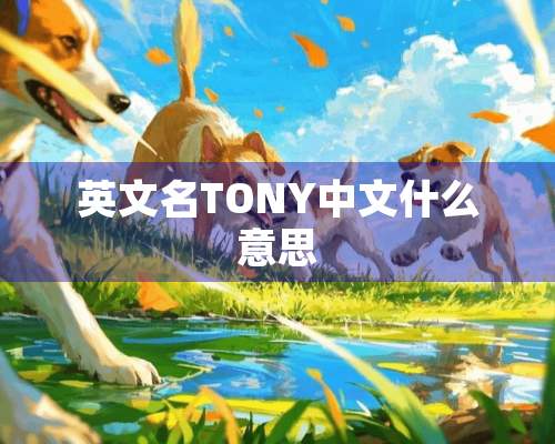 英文名TONY中文什么意思