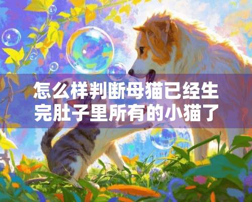 怎么样判断母猫已经生完肚子里所有的小猫了