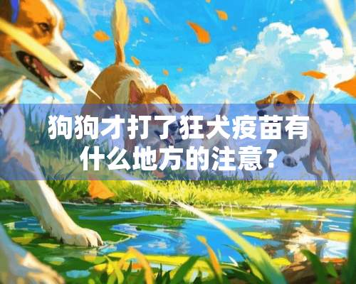 狗狗才打了狂犬疫苗有什么地方的注意？