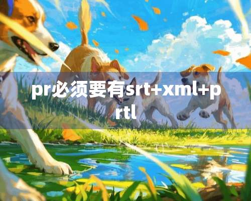 pr必须要有srt+xml+prtl