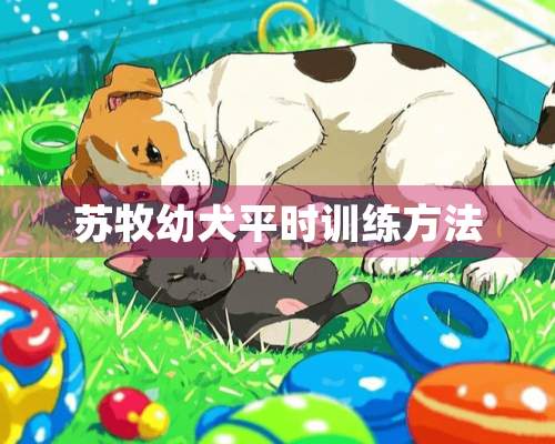 苏牧幼犬平时训练方法