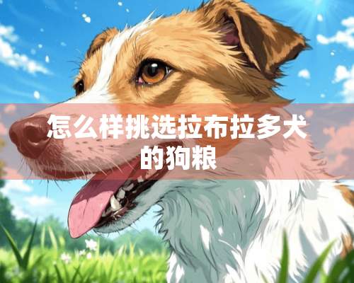 怎么样挑选拉布拉多犬的狗粮