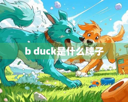 b duck是什么牌子