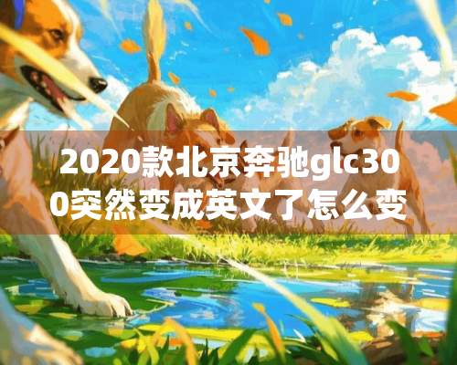 2020款北京奔驰glc300突然变成英文了怎么变回中文？