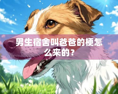 男生宿舍叫爸爸的梗怎么来的？