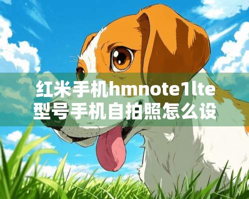 红米手机hmnote1lte型号手机**照怎么设置