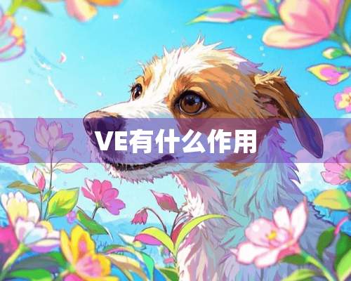 VE有什么作用