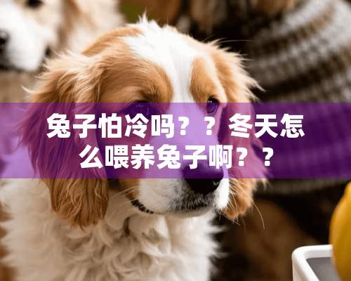 兔子怕冷吗？？冬天怎么喂养兔子啊？？