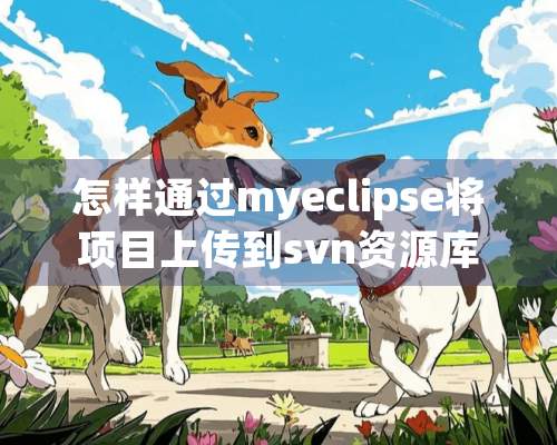 怎样通过myeclipse将项目上传到svn资源库