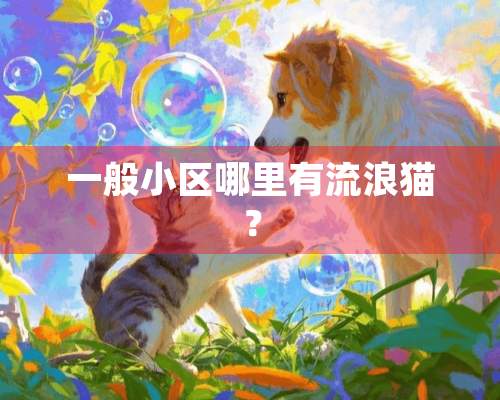 一般小区哪里有流浪猫？