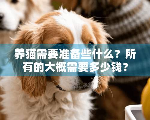 养猫需要准备些什么？所有的大概需要多少钱？