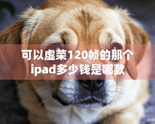 可以虚荣120帧的那个ipad多少钱是哪款