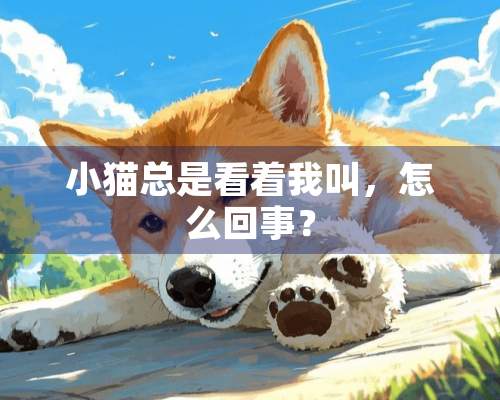 小猫总是看着我叫，怎么回事？