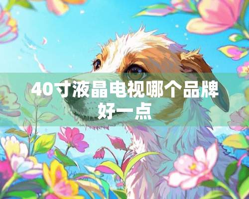 40寸液晶电视哪个品牌好一点