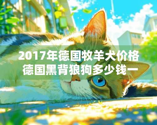 2017年德国牧羊犬价格 德国黑背狼狗多少钱一只