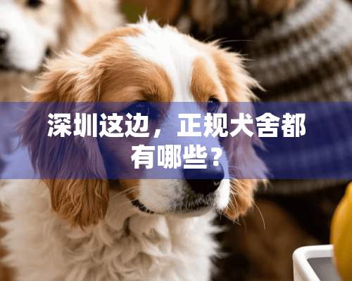 深圳这边，正规犬舍都有哪些？