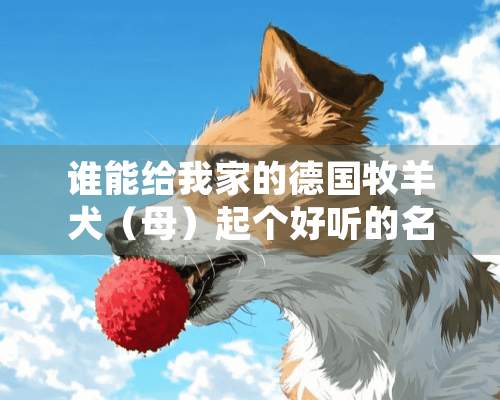 谁能给我家的德国牧羊犬（母）起个好听的名字？