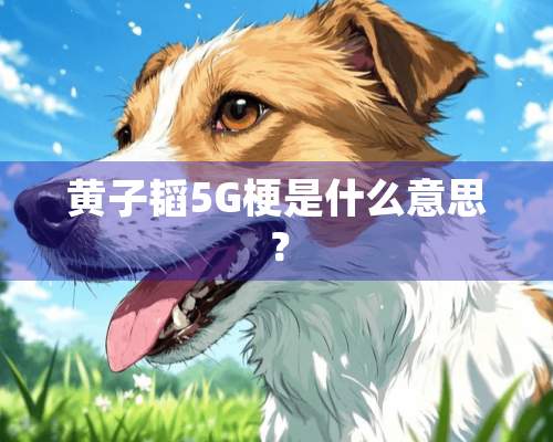 黄子韬5G梗是什么意思？