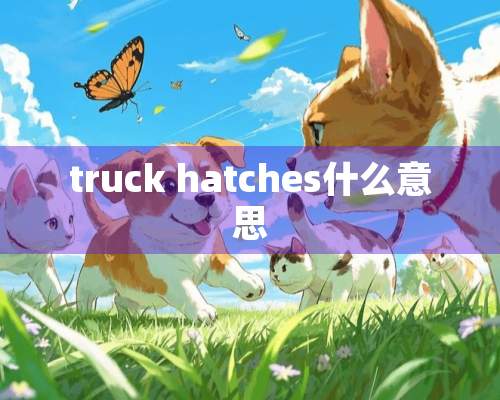 truck hatches什么意思