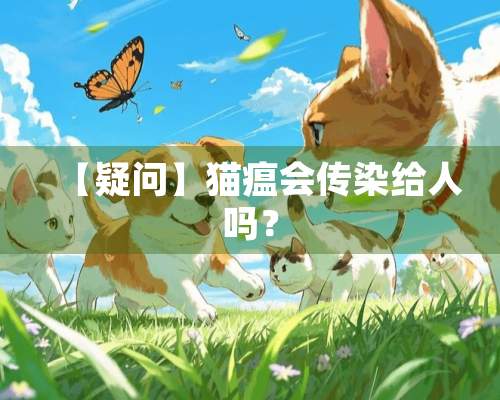 【疑问】猫瘟会传染给人吗？