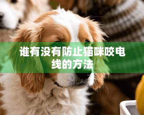 谁有没有防止猫咪咬电线的方法