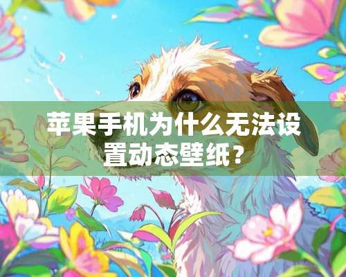 苹果手机为什么无法设置动态壁纸？