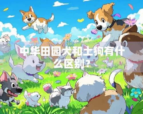 中华田园犬和土狗有什么区别？