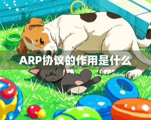 ARP协议的作用是什么