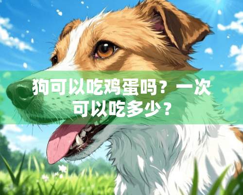 狗可以吃鸡蛋吗？一次可以吃多少？