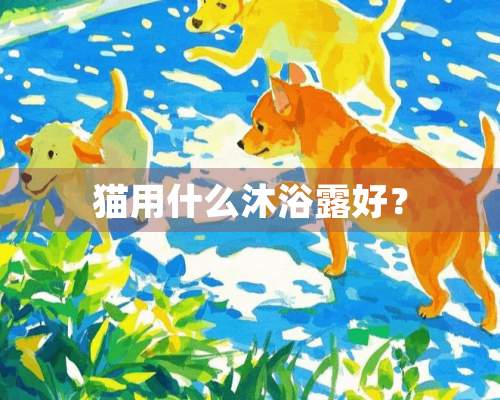 猫用什么沐浴露好？