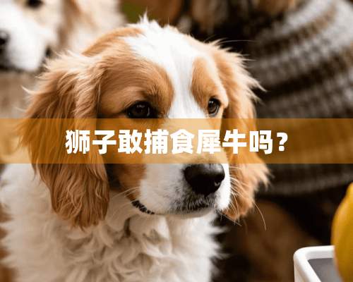 狮子敢捕食犀牛吗？