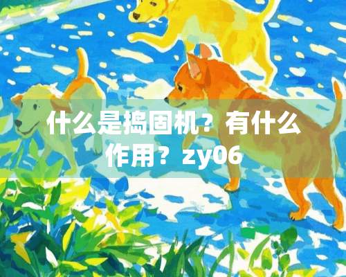 什么是捣固机？有什么作用？zy06