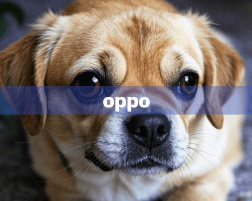 oppo