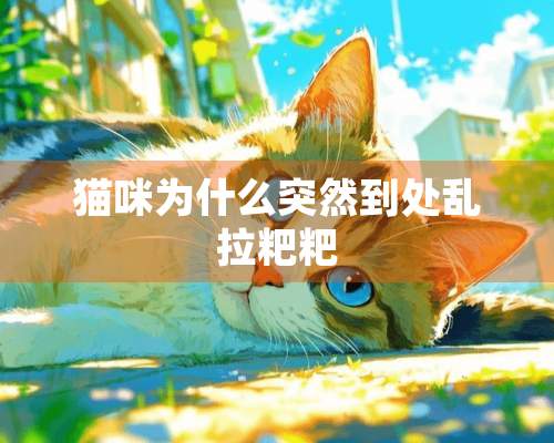 猫咪为什么突然到处乱拉粑粑