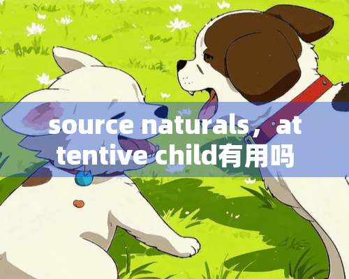 source naturals，attentive child有用吗