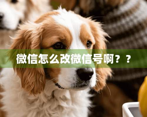 微信怎么改微信号啊？？