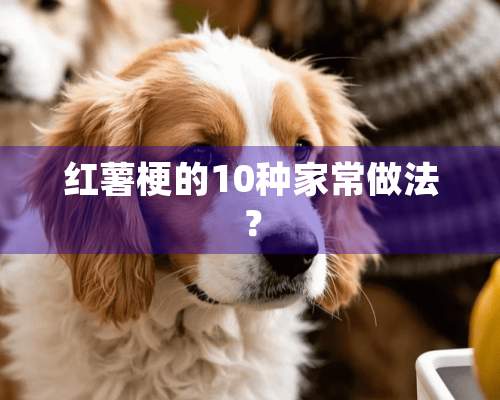 红薯梗的10种家常做法？