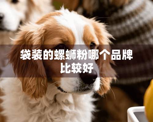 袋装的螺蛳粉哪个品牌比较好