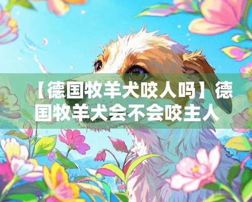 【德国牧羊犬咬人吗】德国牧羊犬会不会咬主人