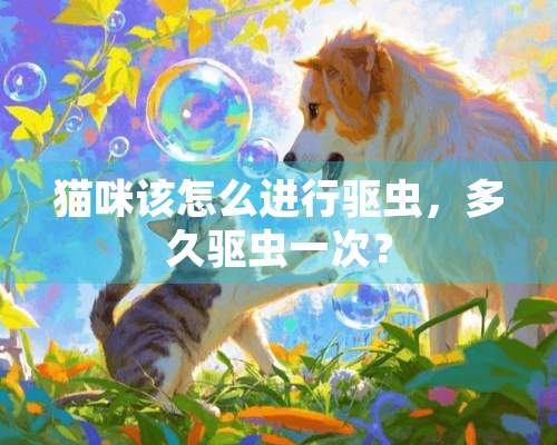 猫咪该怎么进行驱虫，多久驱虫一次？