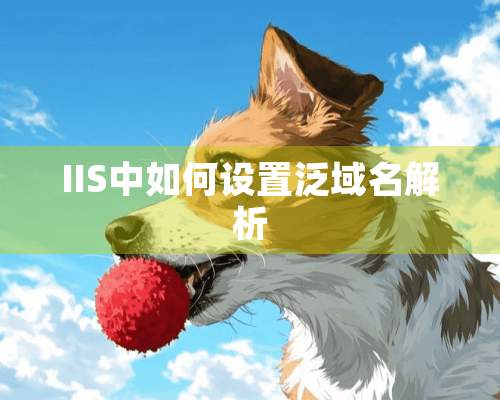 IIS中如何设置泛域名解析