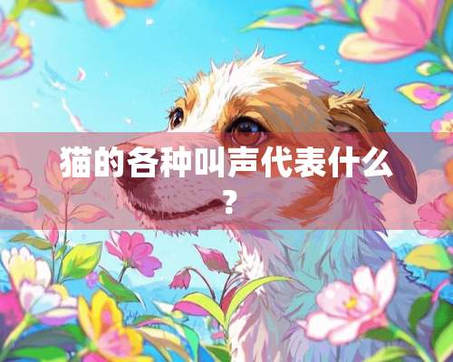 猫的各种叫声代表什么？